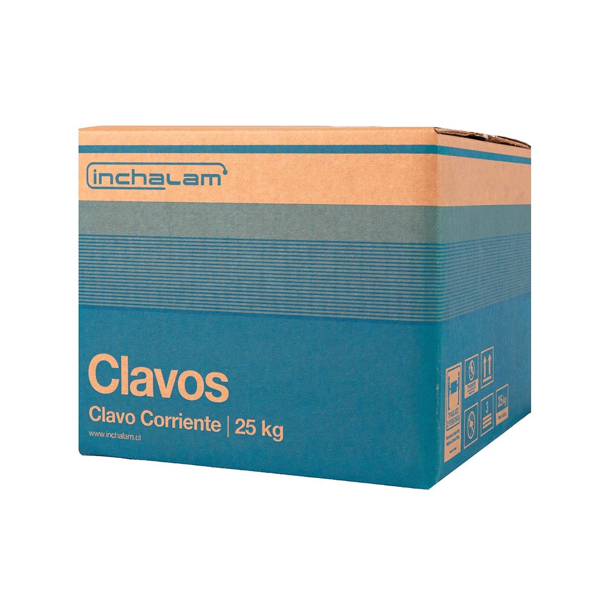 Pack de 50 Clavos de Acero 2"
